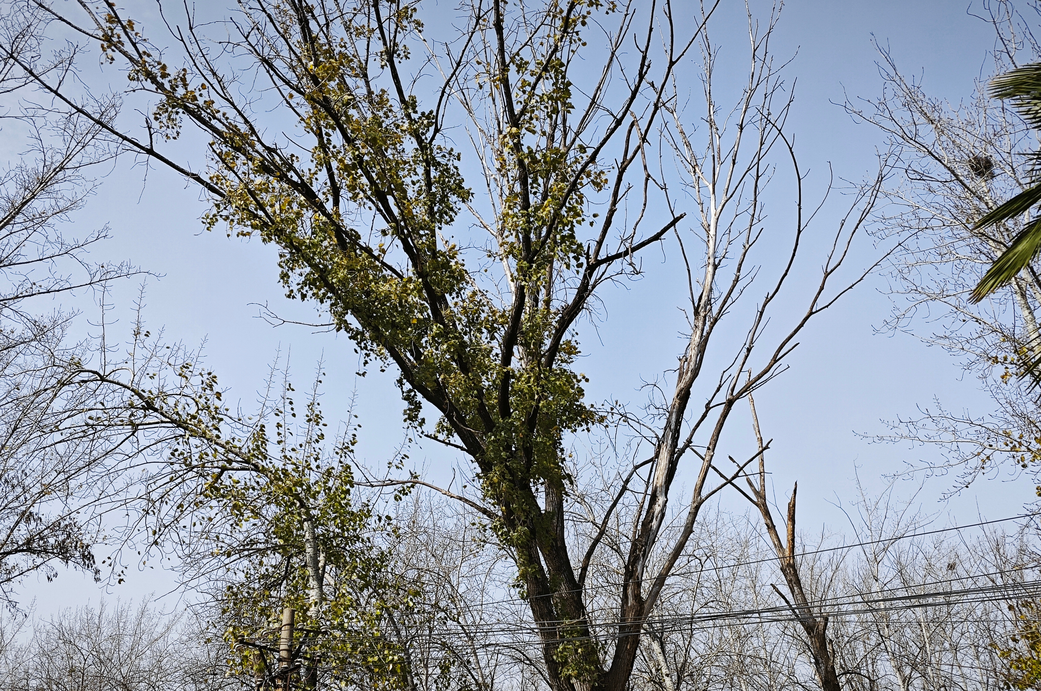 摄影：河南汝州