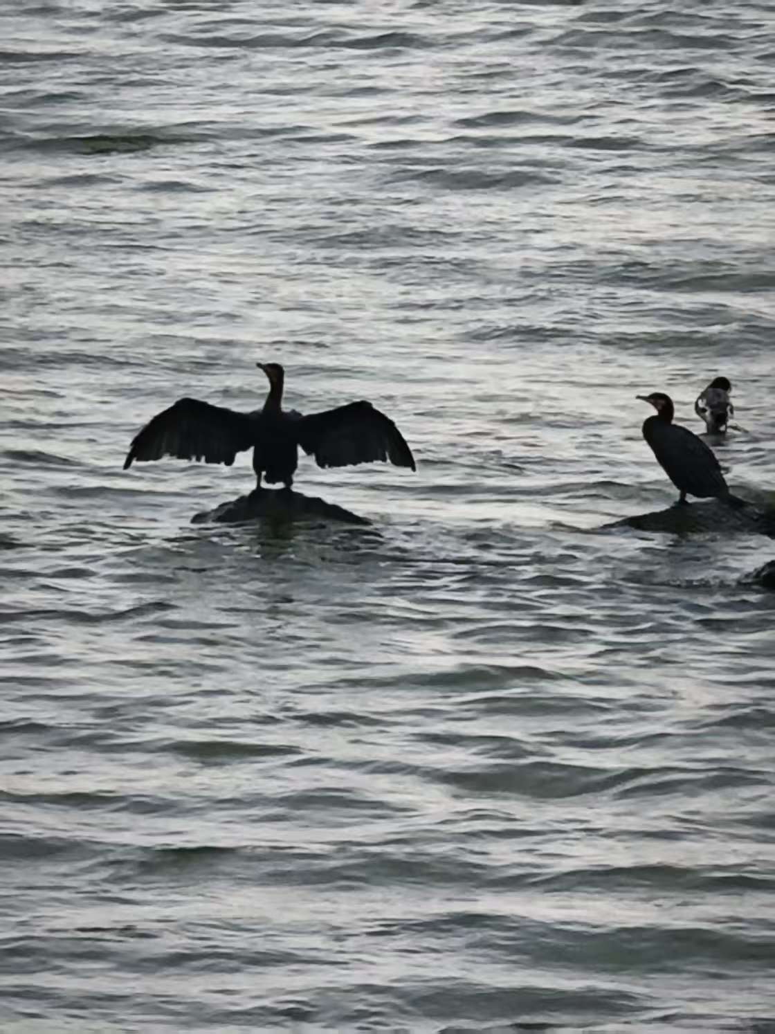 摄影：广东深圳